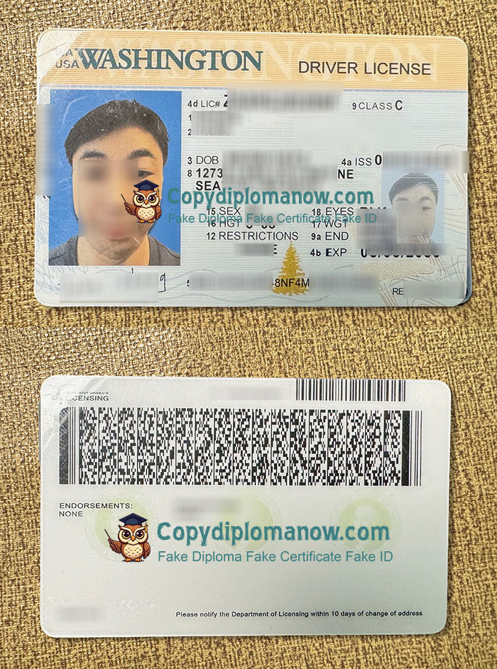 Washington Driver License, Washington ID