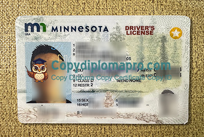Minnesota Driver‘s License