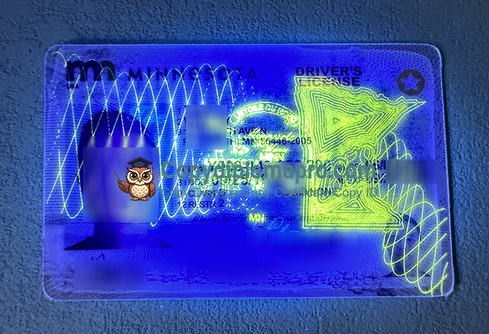 USA Driver‘s License