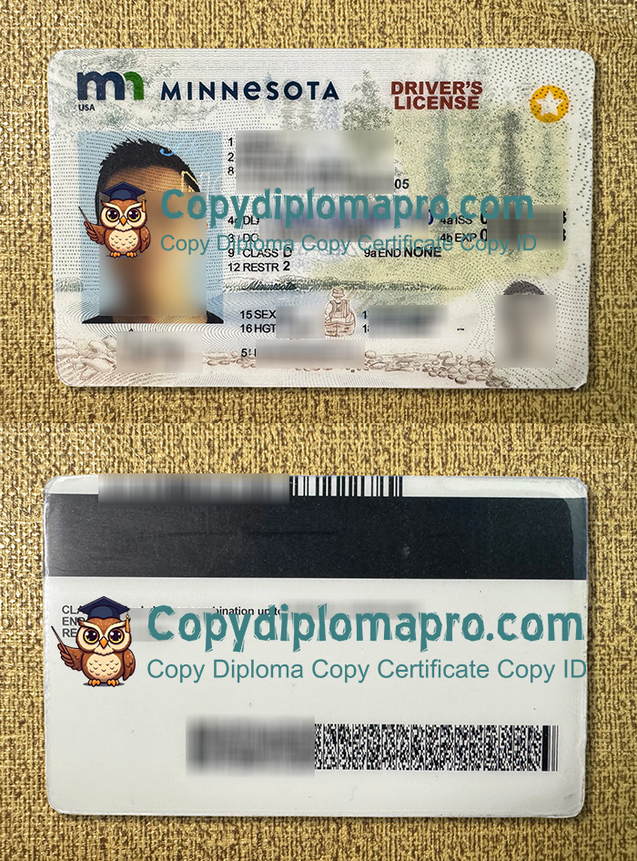 Minnesota Driver‘s License, Minnesota ID
