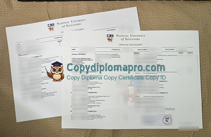 National University of Singapore Transcript