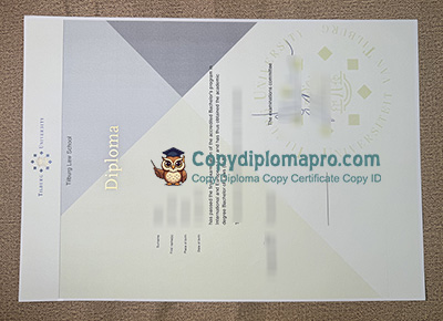 Tilburg University Diploma