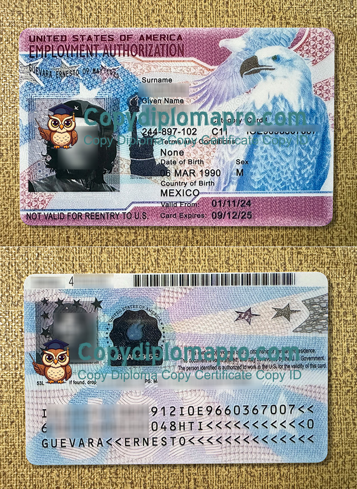USA Employment authorization document, USA DAE