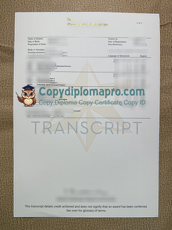 University of Brighton Transcript