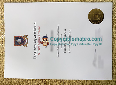 University of Waikato Degree