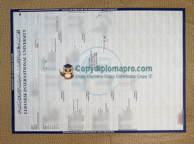 Lebanese International University Transcript