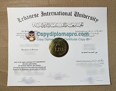 Lebanese International University Diploma