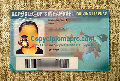 Singapore Driving Licence