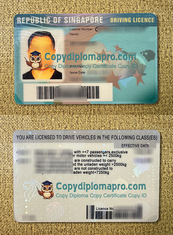 Singapore Driving License, Singapore ID