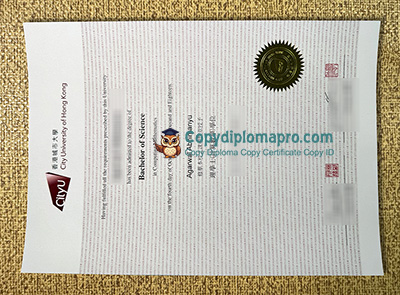 City University of Hong Kong Diploma