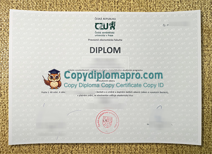 Česká zemědělská univerzita v Praze Diplom, CZU Diploma