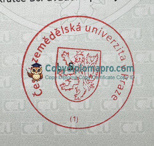 CZU Diploma SELA