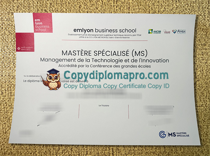 Emlyon Business School Diploma