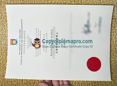 HKU Space Diploma
