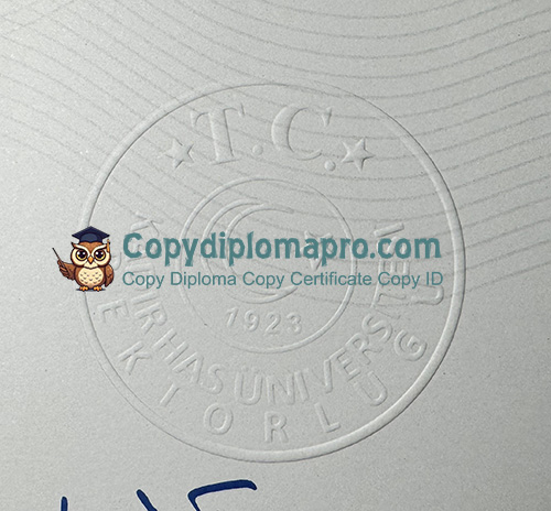Kadir Has University Diploma seal