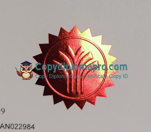 Management College of Southern Africa Diploma seal