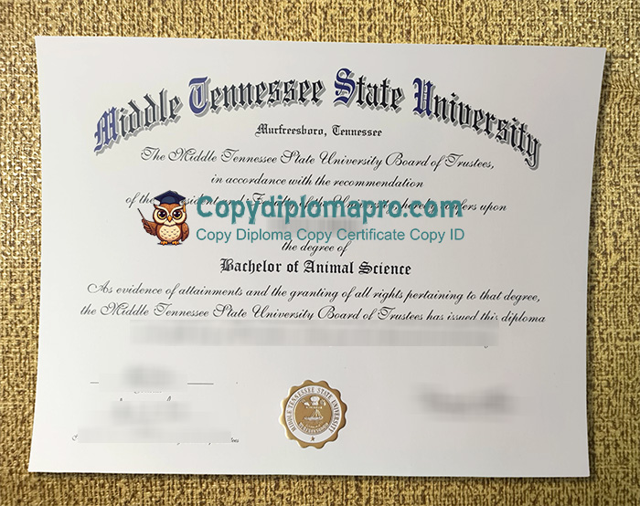 Middle Tennessee State University Diploma, MTSU Diploma