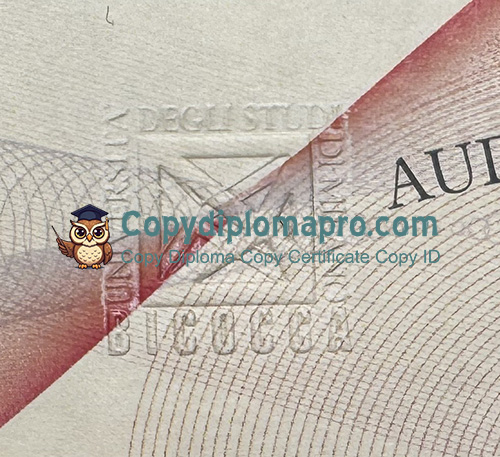 Università degli Studi di Milano-Bicocca Diploma seal