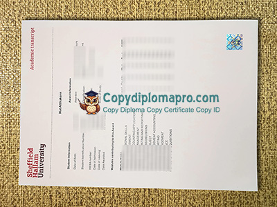 Sheffield Hallam University Transcript