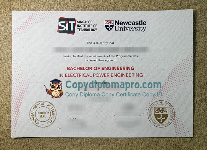 SIT Diploma