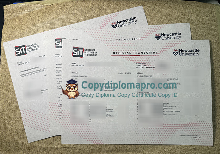 Singapore Institute of Technology Transcript, SIT Transcript