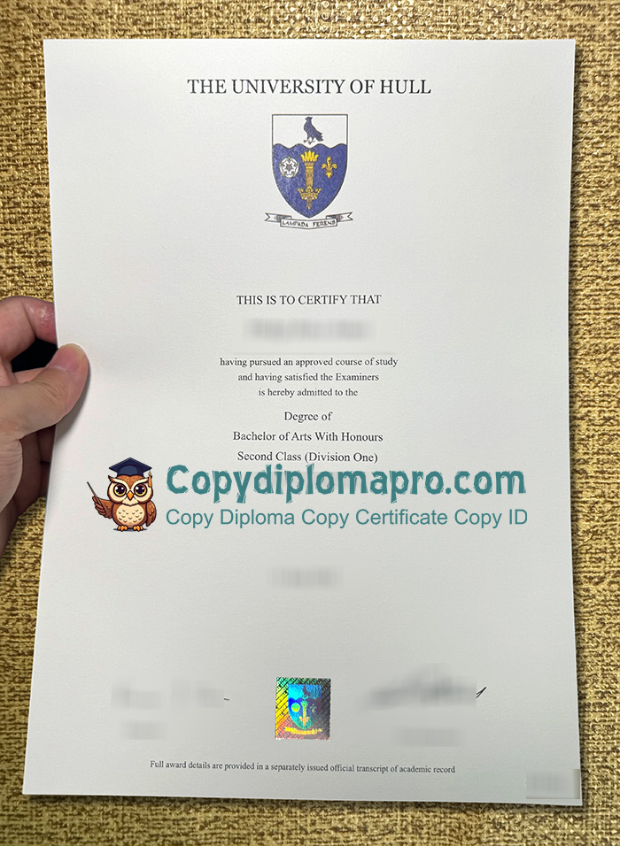 University of Hull Degree