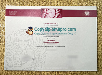 Università Ca' Foscari Venezia Diploma