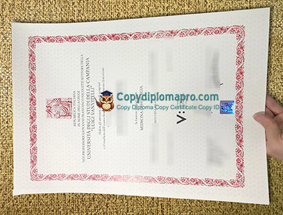 Università degli Studi della Campania Luigi Vanvitelli Diploma