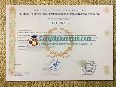 Université Bordeaux 3 Diploma