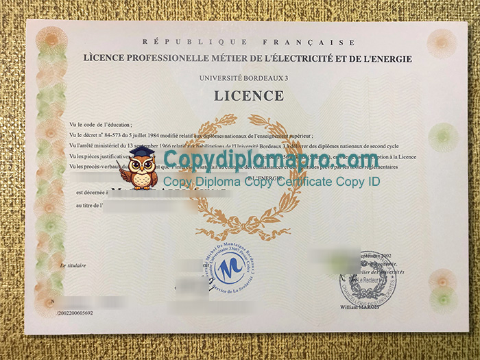 Université Bordeaux 3 Diploma