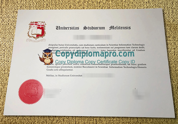 University of Malta Diploma