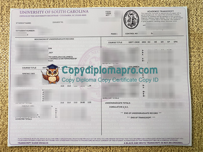 University of South Carolina Transcript