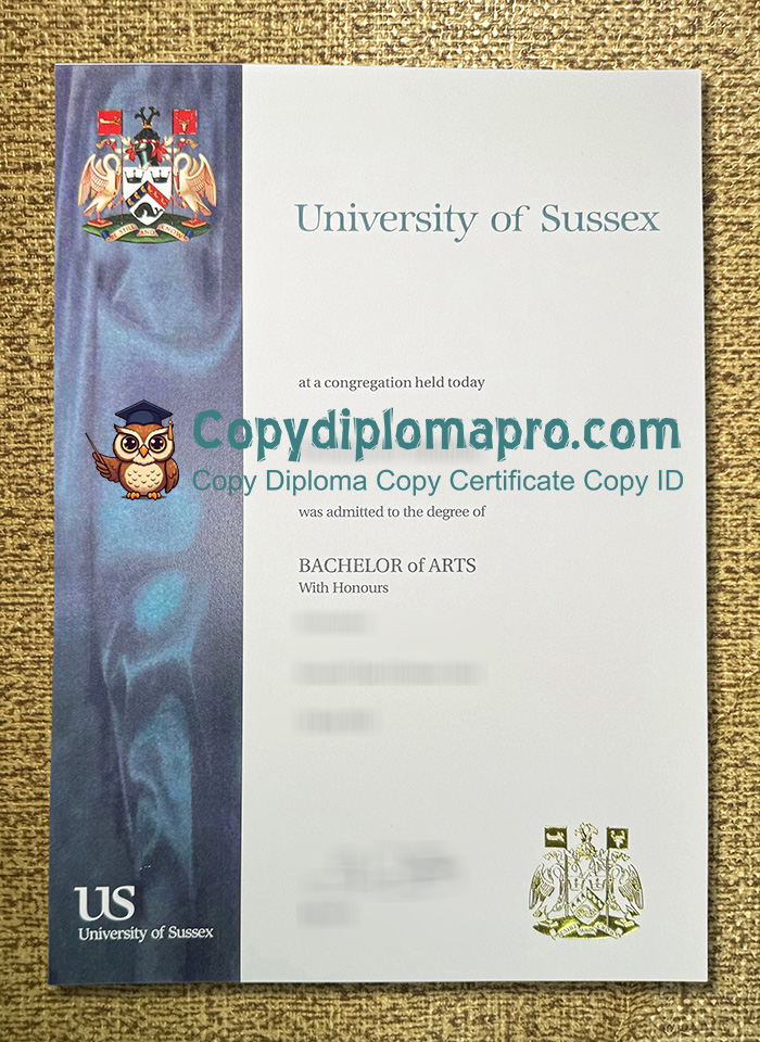 University of Sussex Degree