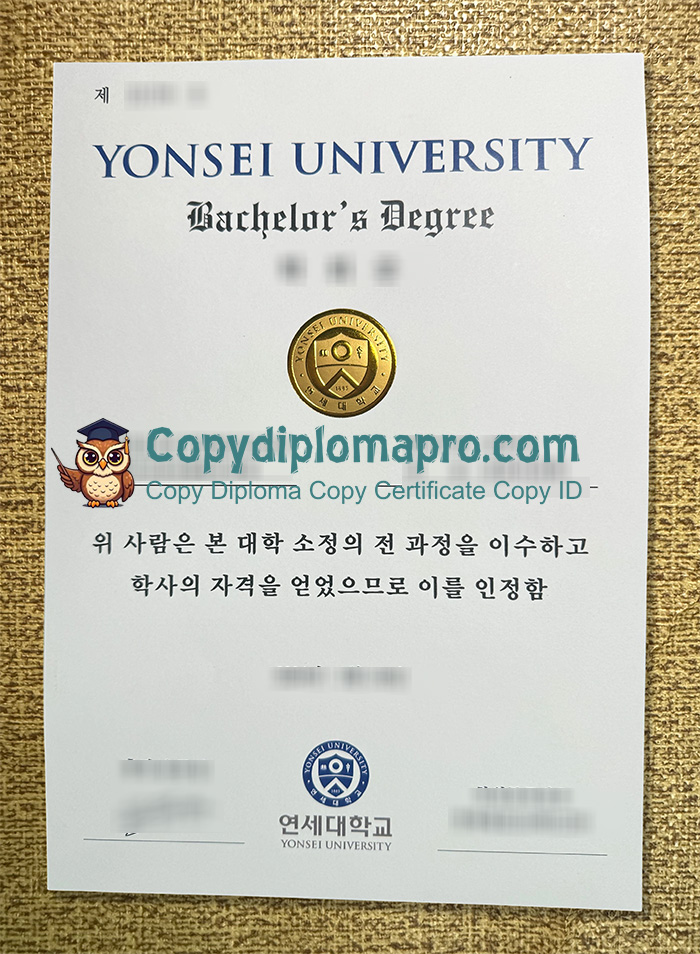 Yonsei University Degree