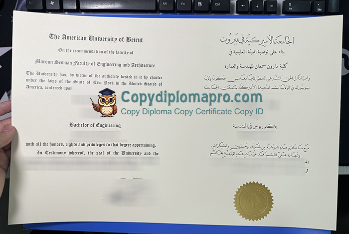 American University of Beirut Diploma, AUB Diploma