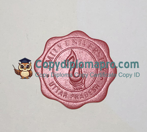 Amity University Uttar Pradesh Diploma seal
