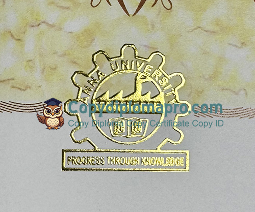 Anna University Degree