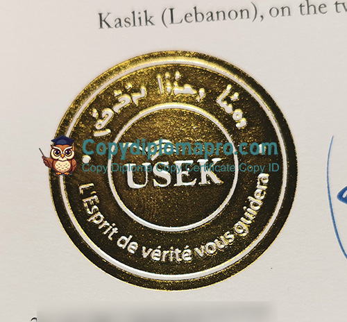 Holy Spirit University of Kaslik Diploma seal