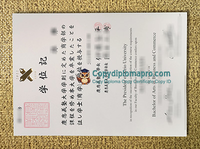 Kyoto University Diploma