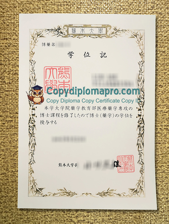 Kumamoto University Diploma