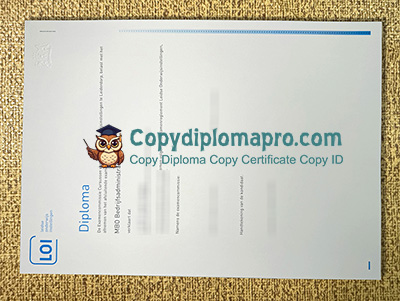 Leidse Onderwijs Instellingen Diploma