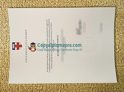 London School of Economics Degree