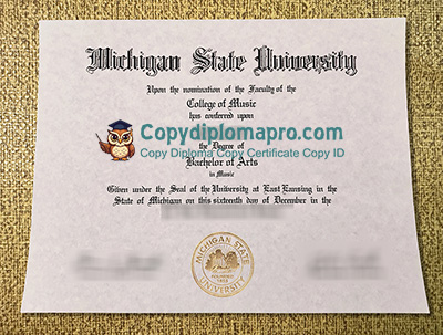 Michigan State University Diploma