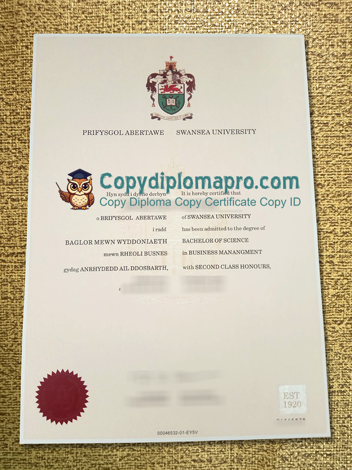 Swansea University Degree