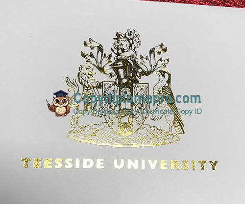 Teesside University Degree seal