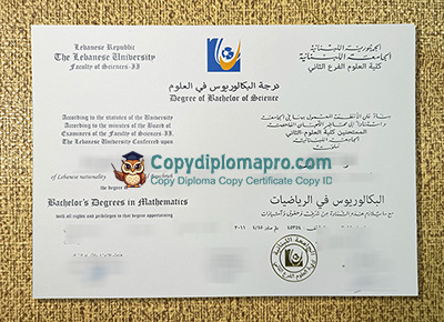 Lebanese University Diploma