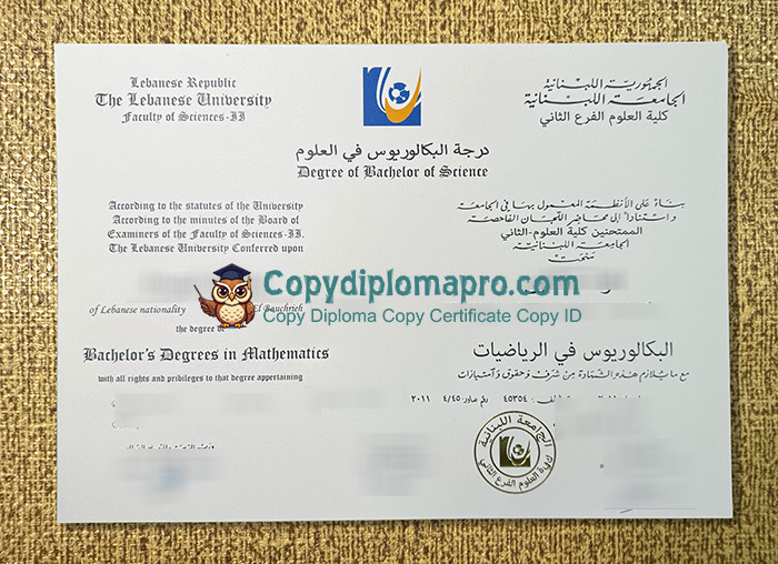Lebanese University Diploma
