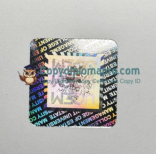 University of the Built Environment Degree holographic