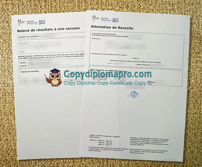 DELF B1 Attestation de réussite