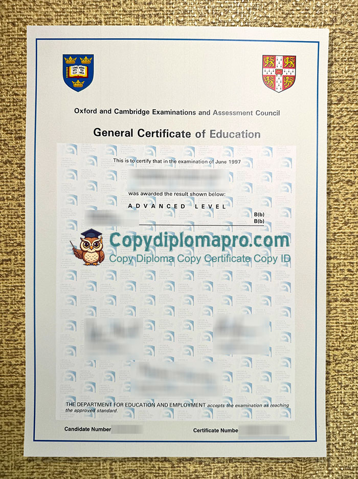 Oxford and Cambridge Examinations and Assessment Council Certificate